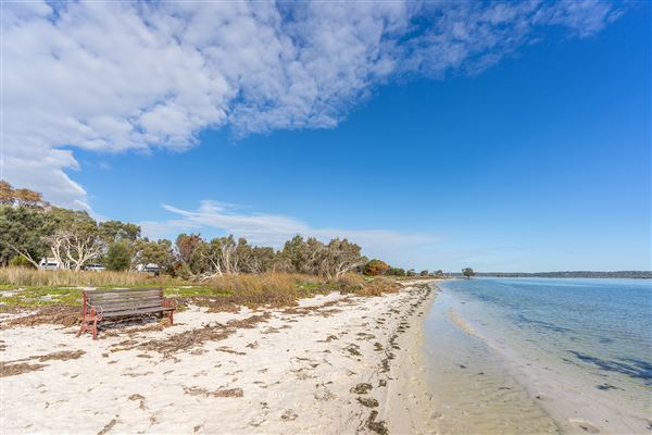 Herron Point, Birchmont - Herron Point shoreline and walking tracks (7/06/2020)