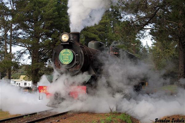 Hotham Valley Railway - Steam Train (17/09/2019)