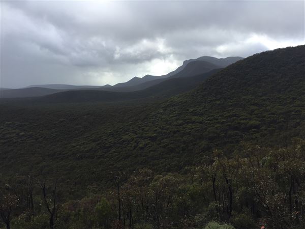 Stirling Range National Park - Bluff Knoll (1/09/2020 - Credits: Nina Gee)