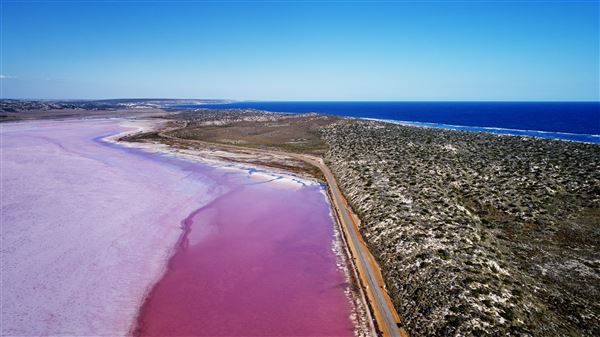 Pink Lake - Hutt Lagoon (27/11/2020 - Credits: Tourism Western Australia)
