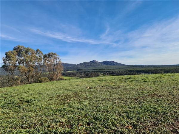 Craigendarroch, Porongurup (2/11/2021 - Credits: CMMS ELPS)