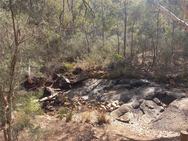 Lesmurdie Falls (2/07/2022 - Credits: Rachael Hawkins)