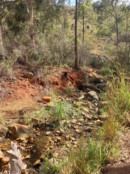 Lesmurdie Falls (2/07/2022 - Credits: Rachael Hawkins)