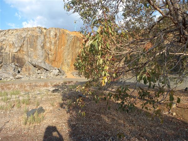 Statham's Quarry (11/12/2021 - Credits: Rachael Hawkins)