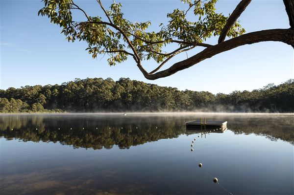 RAC Karri Valley Resort (11/10/2022 - Credits: Tourism Western Australia)