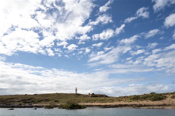 Jarman Island - Aussie Gold Hunters Series 7 (12/06/2021 - Credits: David Dare Parker)