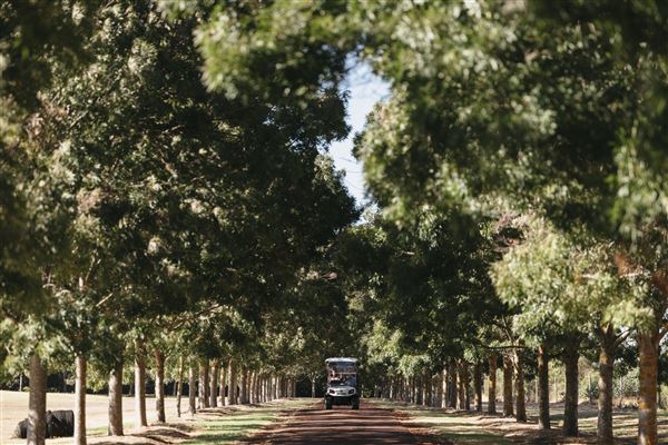 Fraser Gallop Estate (16/02/2023 - Credits: Tourism Western Australia)