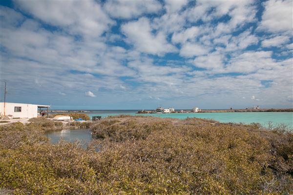 Post Office Island (8/04/2022 - Credits: Liddon Pearls (pictures by Nic Duncan, Simon Cowling and James Simmons))