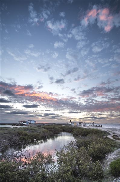 Post Office Island (8/04/2022 - Credits: Liddon Pearls (pictures by Nic Duncan, Simon Cowling and James Simmons))