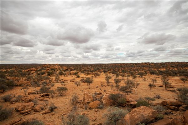 Wheatbelt Region (19/10/2023 - Credits: Tourism Western Australia)