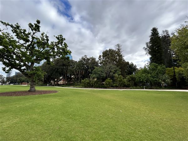 Supreme Court Gardens (18/10/2023 - Credits: Shea Walsh)
