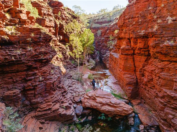 Karijini Eco Retreat (8/03/2024 - Credits: Karijini Eco Retreat)