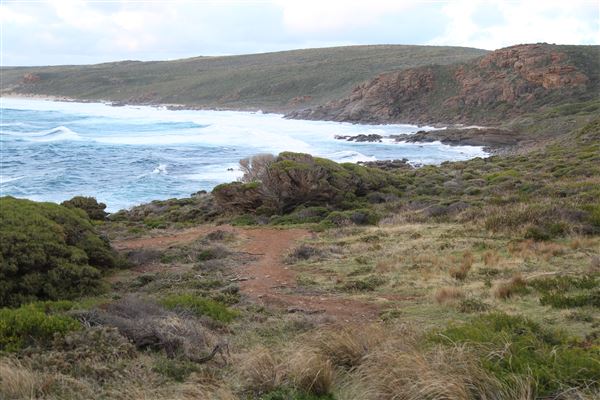 Cape Naturaliste - Sugar Loaf (6/06/2023 - Credits: Aidan O'Bryan)
