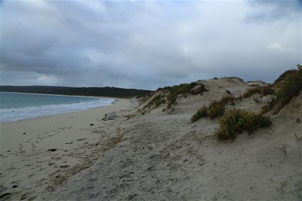 Hamelin Bay (6/06/2023 - Credits: Aidan O'Bryan)