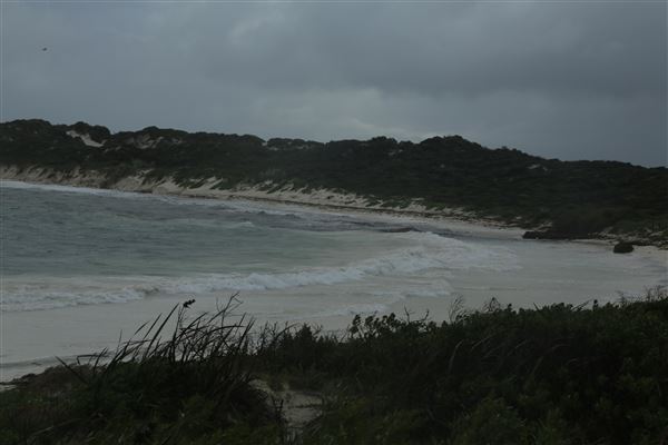 Hangover Bay (6/06/2023 - Credits: Aidan O'Bryan)