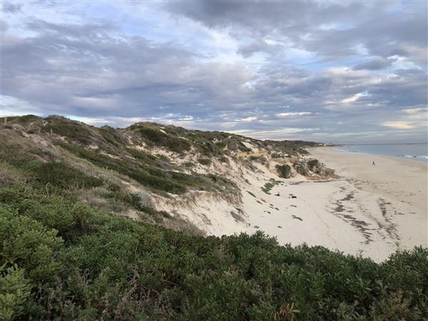 Claytons Beach (6/06/2023 - Credits: Aidan O'Bryan)