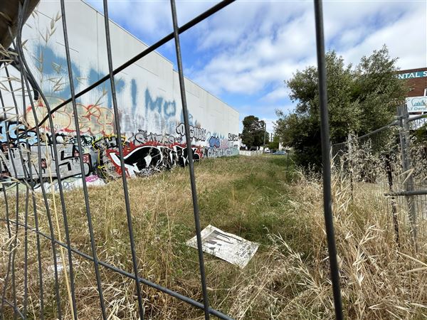 Northbridge precinct (29/09/2023 - Credits: Shea Walsh)
