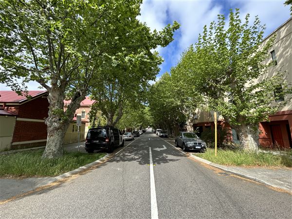 Northbridge precinct (29/09/2023 - Credits: Shea Walsh)