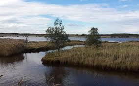 Murray River and Peel-Harvey Estuary (30/05/2024)