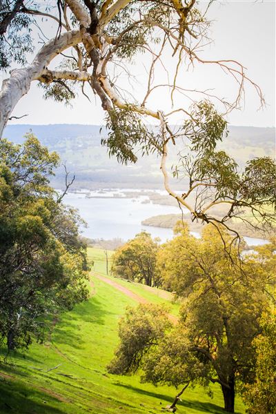 The Chittering Valley (14/06/2024 - Credits: Tourism Western Australia)
