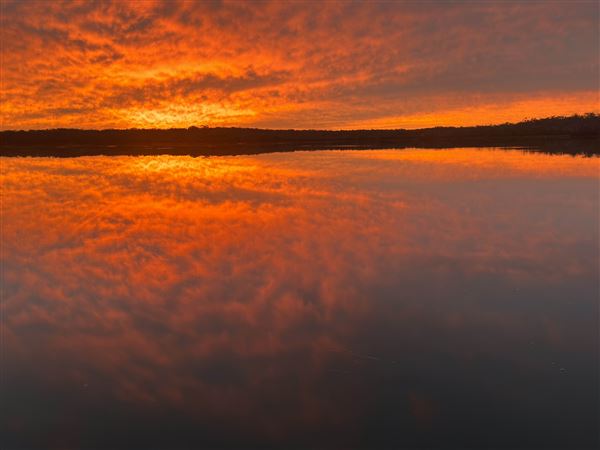 Hardy Inlet, Augusta (23/07/2024)