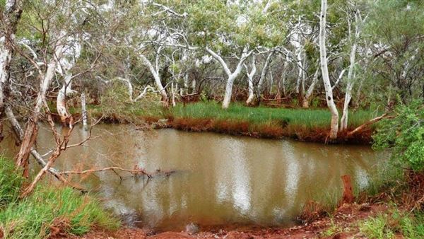 Gascoyne River (24/07/2024)