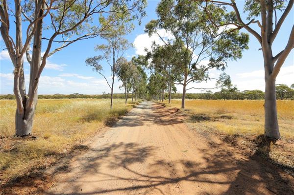 Northam (29/07/2024)