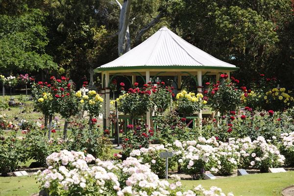 Karrakatta Cemetery (20/09/2024)