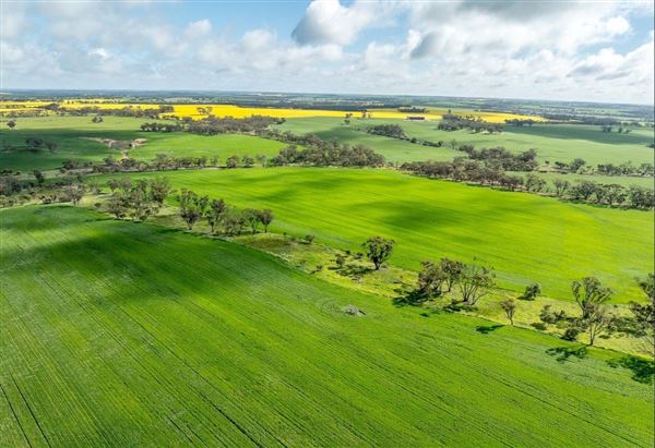 Wheatbelt Region (20/09/2024)