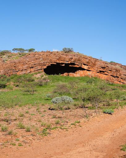 Cheela Plains Station (23/10/2024)