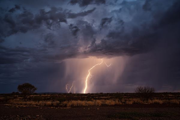 Cheela Plains Station (23/10/2024)