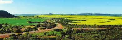 Chapman Valley (25/11/2024)