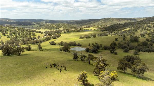 The Chittering Valley (12/02/2025)