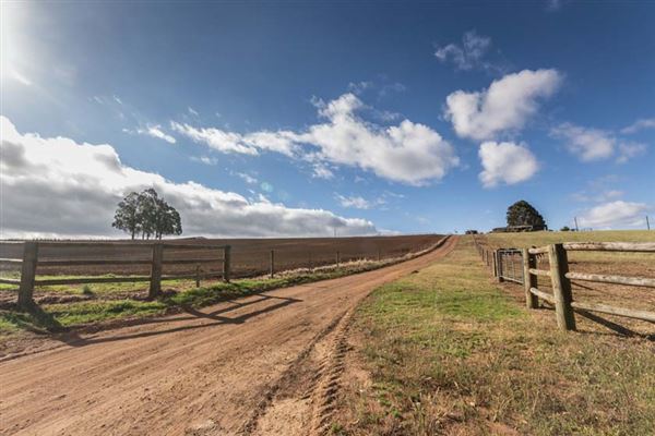 Nannup (13/02/2025)