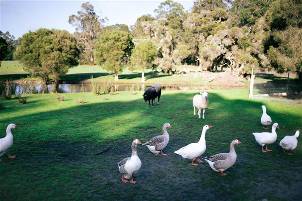 Loose Goose Chalets (17/02/2025 - Credits: Taken from website)