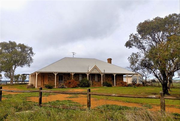 Doodlakine (18/02/2025)