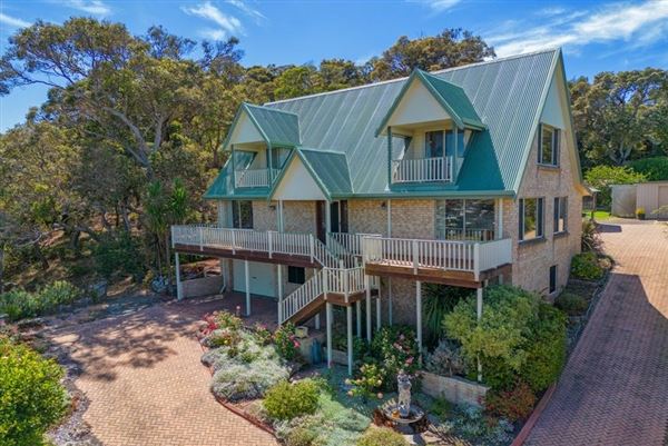 Albany Suburbia (26/02/2025)