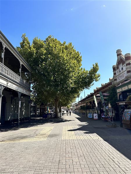 Fremantle City (27/05/2025)