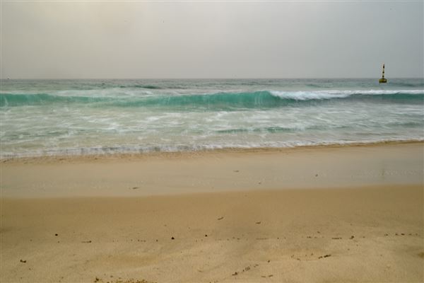 Cottesloe Beach (20/05/2025 - Credits: Xander Kabat)