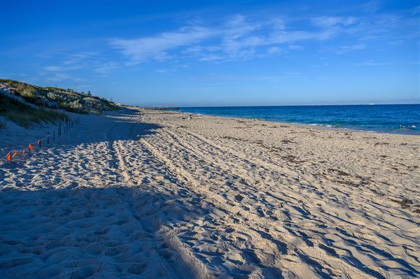 Floreat Beach (3/06/2025 - Credits: Xander Kabat)
