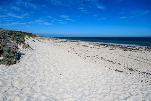 Claytons Beach (4/06/2025 - Credits: Xander Kabat)