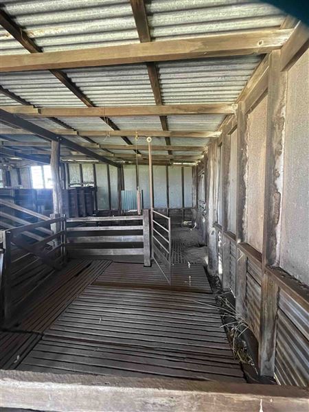 Shearing Shed @ Duke's Vineyard (28/06/2025 - Credits: Sarah Date)