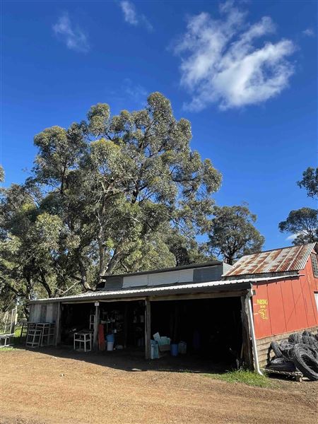 Shearing Shed @ Duke's Vineyard (28/06/2025 - Credits: Sarah Date)