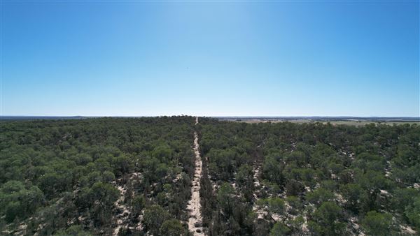 Coorow Farm (1/01/2025 - Credits: Chris Pryor, Tracy Izzard and Leonie Hull)