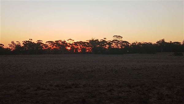 Coorow Farm (1/01/2025 - Credits: Chris Pryor, Tracy Izzard and Leonie Hull)