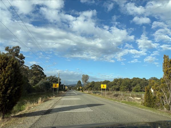 Abernathy Road (13/08/2025 - Credits: Gabby Cole)