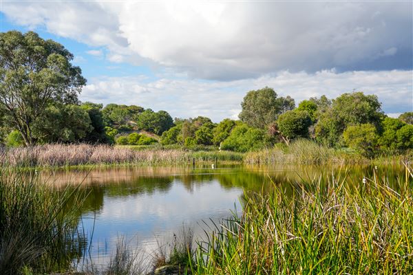 Booyeembarra Park (2/10/2025 - Credits: City of Fremantle)
