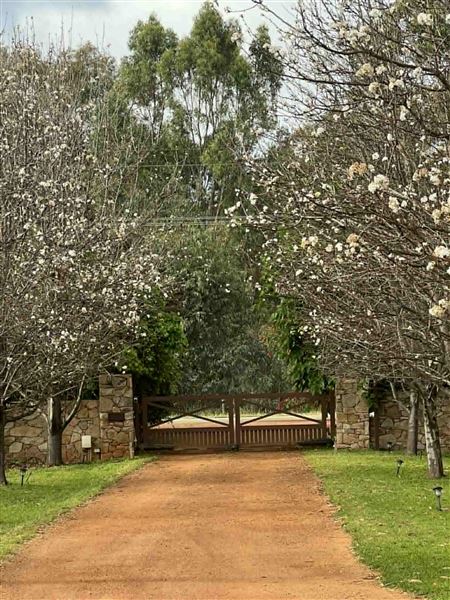 Sarlia Park (1/10/2025 - Credits: Advert from property purchase and then myself)