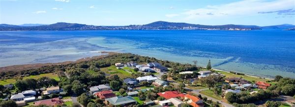 Albany Suburbia (15/10/2025)