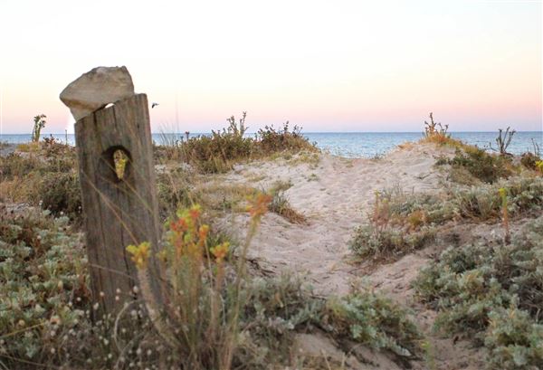 Busselton (14/11/2025)
